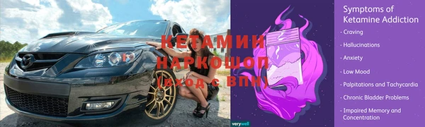 ПСИЛОЦИБИНОВЫЕ ГРИБЫ Алексин