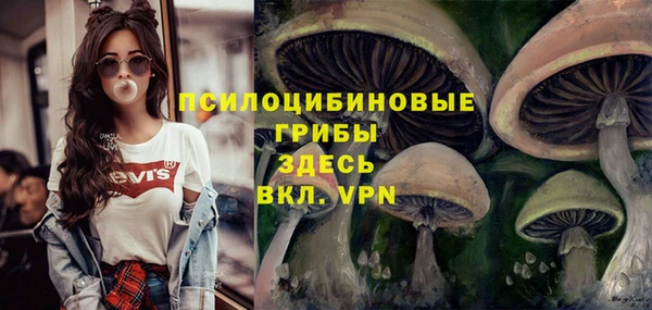 ПСИЛОЦИБИНОВЫЕ ГРИБЫ Алексин