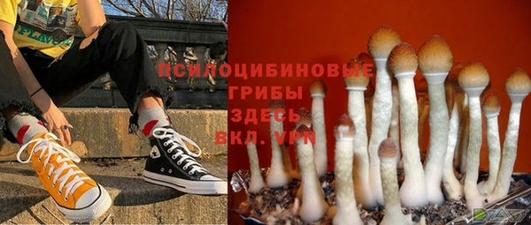 spice Покров