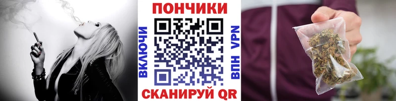 Бошки Шишки ГИДРОПОН Дмитров